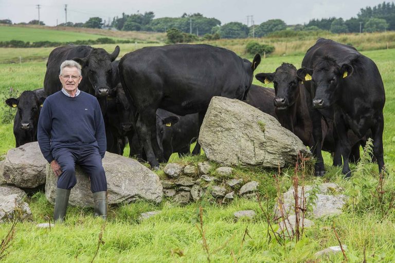 Lees meer over het artikel Een kijkje in het leven van onze runderen